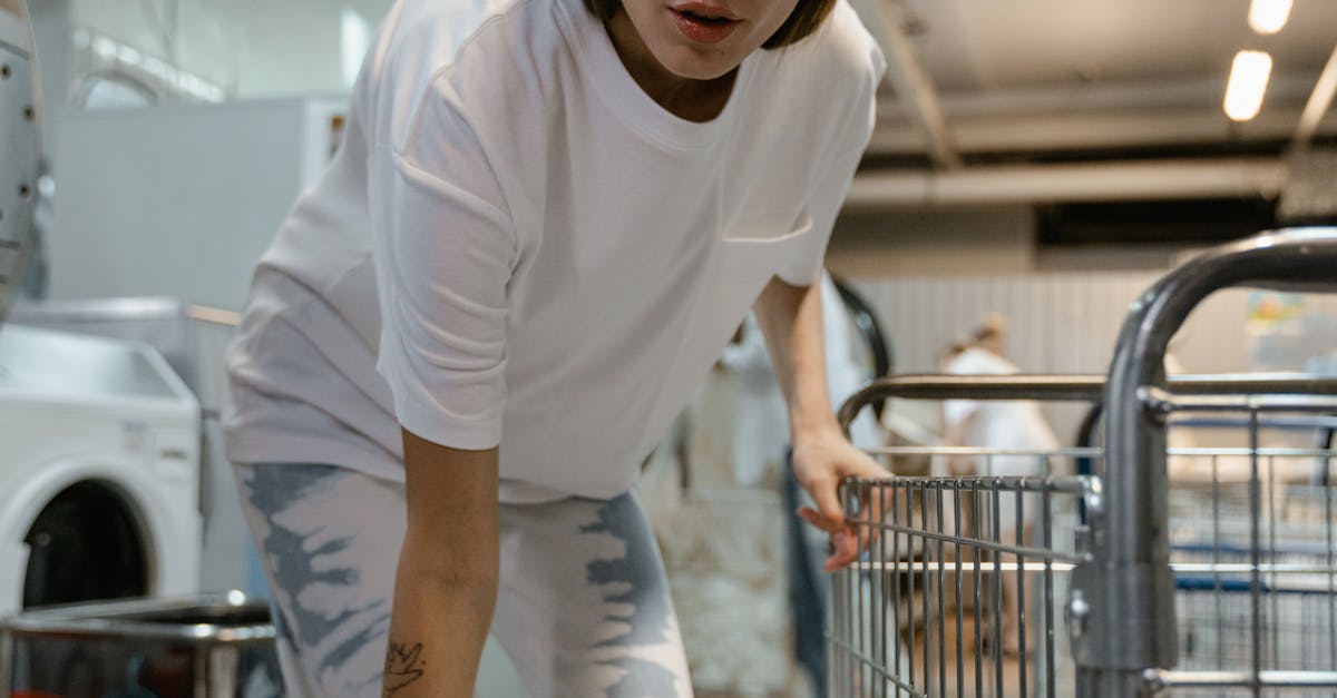 What are the 4 types of laundry services?